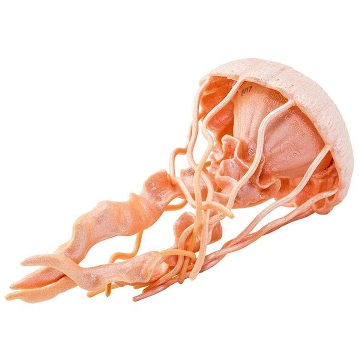 safari-jellyfish-satamasho-figura-photo-4