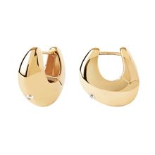Product image of Earring / AR01-F60-U ოქროსფერი ქალის საყურე ვერცხლისფერი