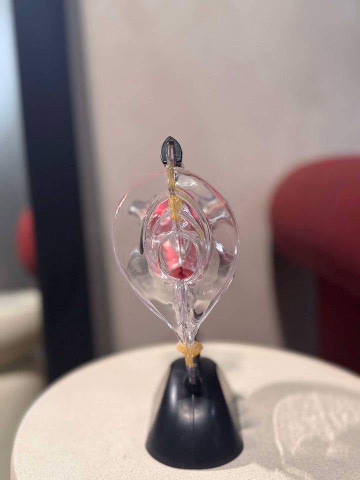 sashvilosnos-qelis-anatomia-photo-3