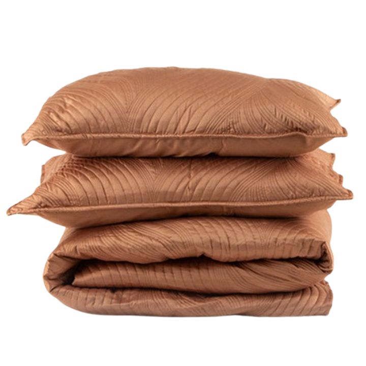 manamo-satsolis-gadasafarebeli