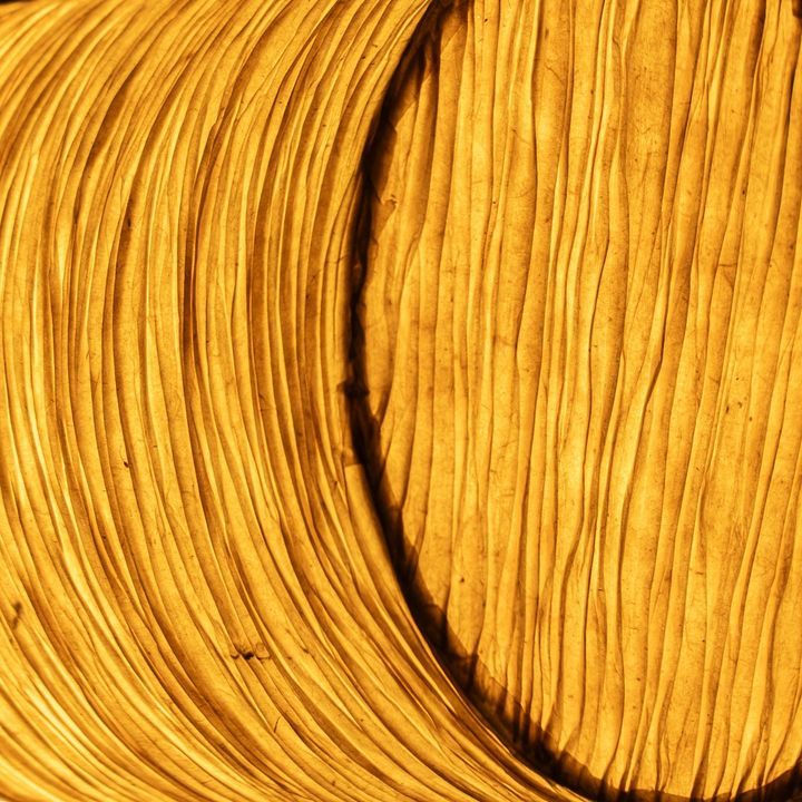 laboratory-my-home-chaghi-photo-2