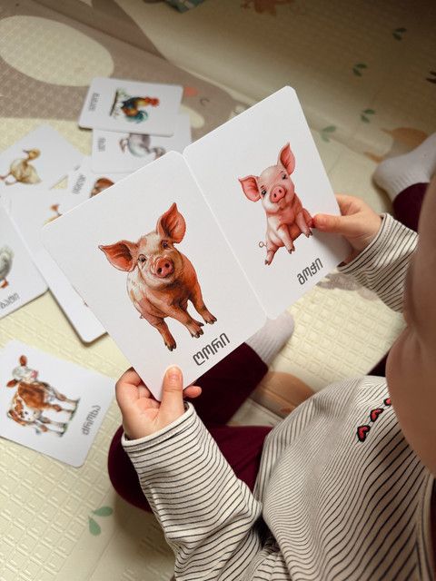 fermis-tskhovelebi-da-frinvelebi---metqvelebis-baratebi-photo-2