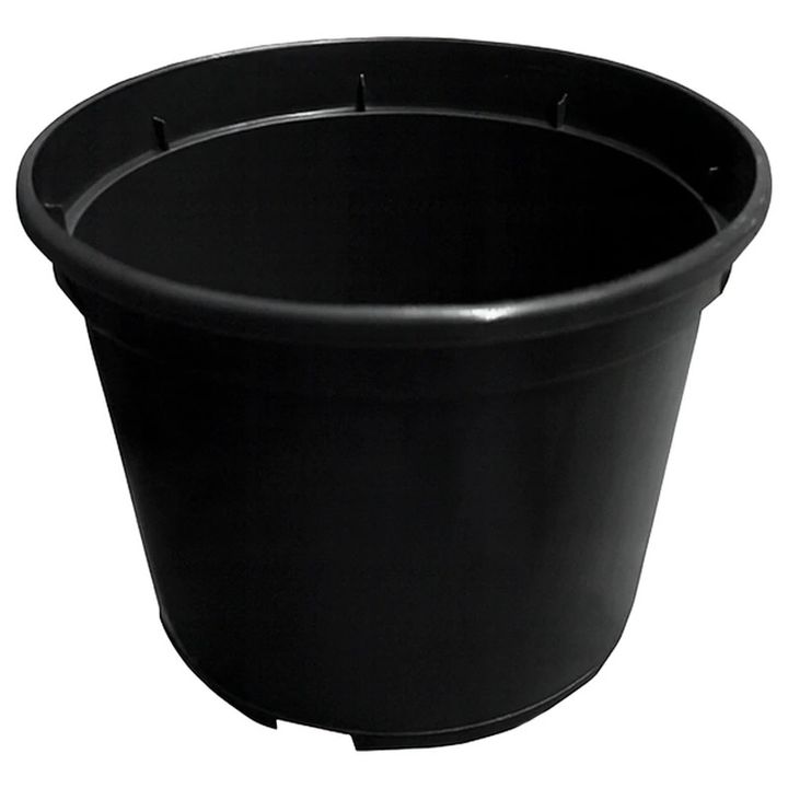 9x65-sm-plastmasis-qotani-mrgvali-shavi