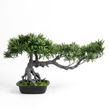 Product image of Eterna- დეკორატიული ხე ,,ბონსაი'' 75*40*45