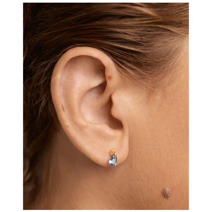 pg-blue-lily-single-ear-saqure-photo-4