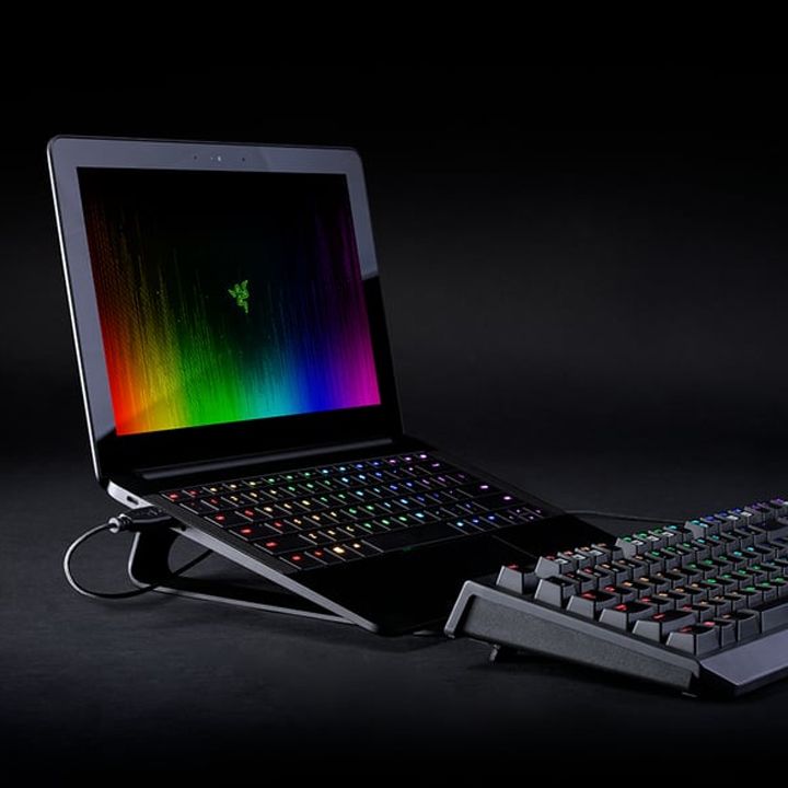 razer-rc21-01110100-w3m1-noutbuqis-sadgami-photo-4