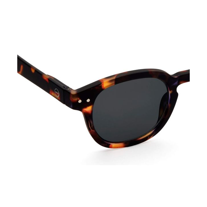 giggles-c-sun-tortoise-mzis-satvale-photo-3