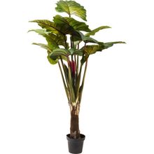 Product image of KARE ხელოვნური მცენარე