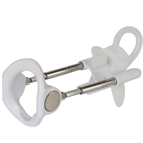 kiku-penisis-mtselavi