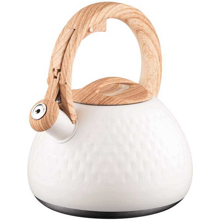 chaidani-ardesto-ar1956ks-kettle-gemini-25l-stainless-steel-beige