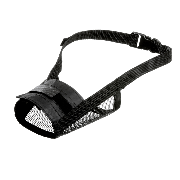 flamingo-dzaghlis-alikapi