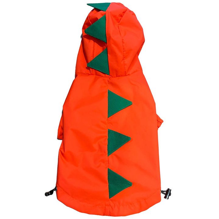 dzaghlis-satsvimari-dinozavri-s-photo-3