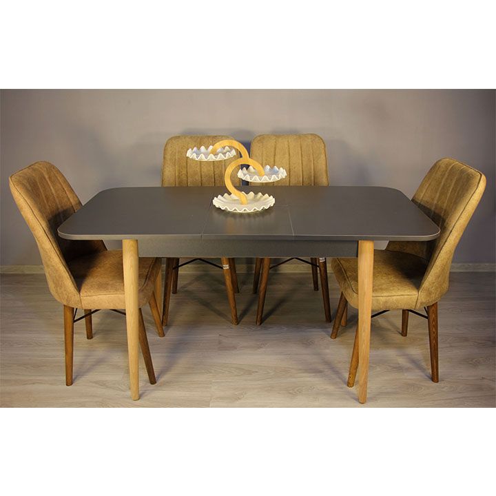 family-house-sasadilo-otakhis-gasashleli-magida-photo-3