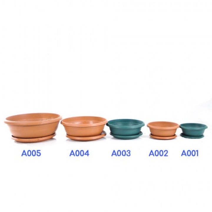 serinova-a004-19005-plastmasis-qotani