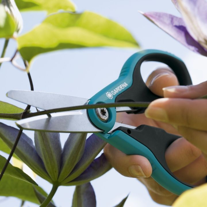 gardena-baghis-makrateli-schnippschnapp-photo-2