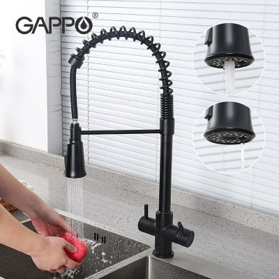 samzareulos-shemrevi-modzravi-tskhvirit-filtrit-da-2-rezhimit-gappo-g4398-66-black
