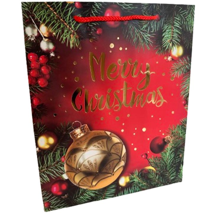 saakhaltslo-sasachuqre-chanta-merry-christmas-photo-2