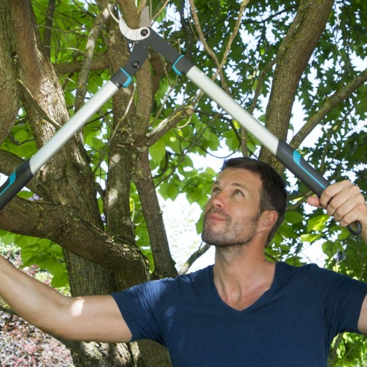 gardena-totebis-sachreli-sekatori-lopper-energycut-750a-photo-3