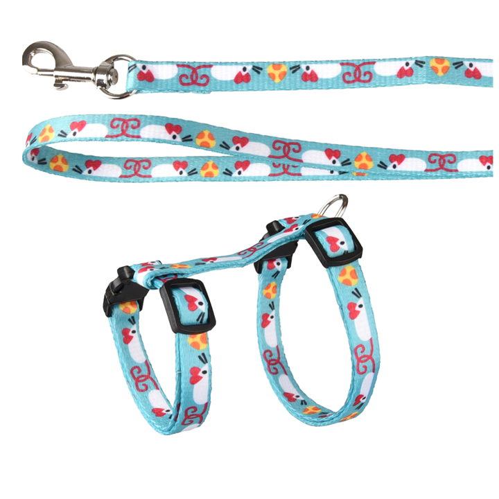 flamingo-katis-sabeli-photo-3