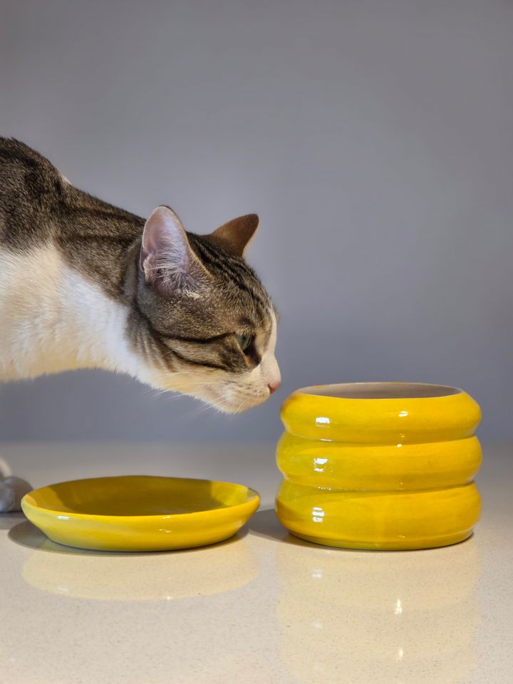 khelnaketi-keramikis-qotani-mtsenareebistvis-photo-3