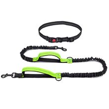 Product image of Pet Leash ძაღლის საბელი