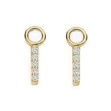 Product image of Blush 9094YZI Blush Oorbedels ჩარმი