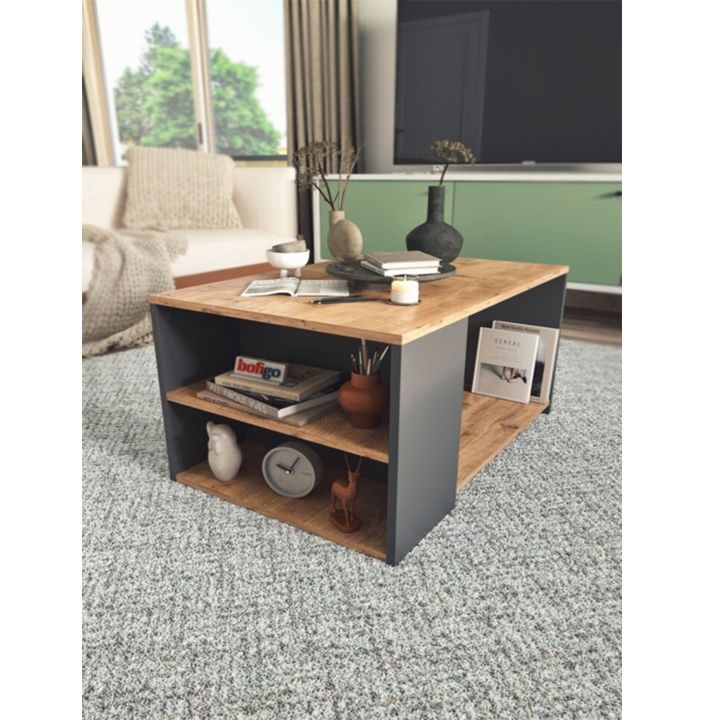 comfo-2-taroiani-qavis-magida-photo-3