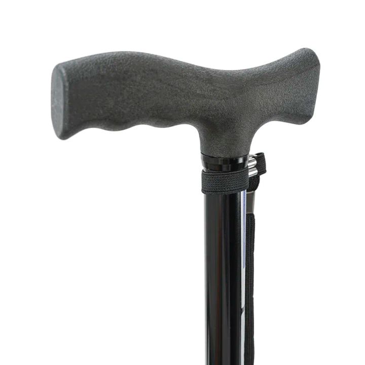 kheljokhi-simaghlis-regulirebit-shavi-photo-3