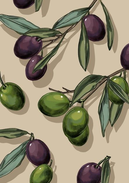 misalotsi-barati-olida