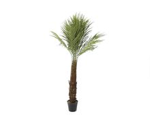 Product image of LABORATORY MY HOME ხელოვნური მცენარე