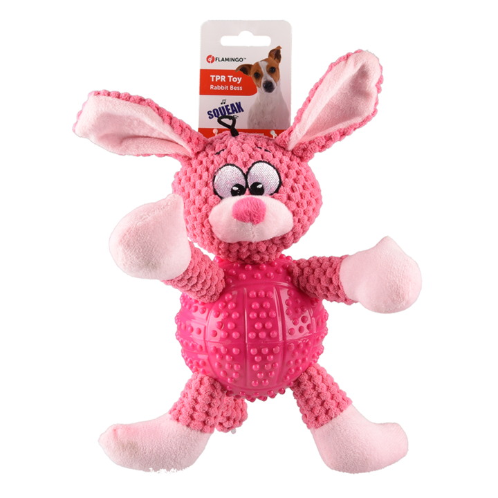 flagino-dt-rabbit-bess-dzaghlis-satamasho