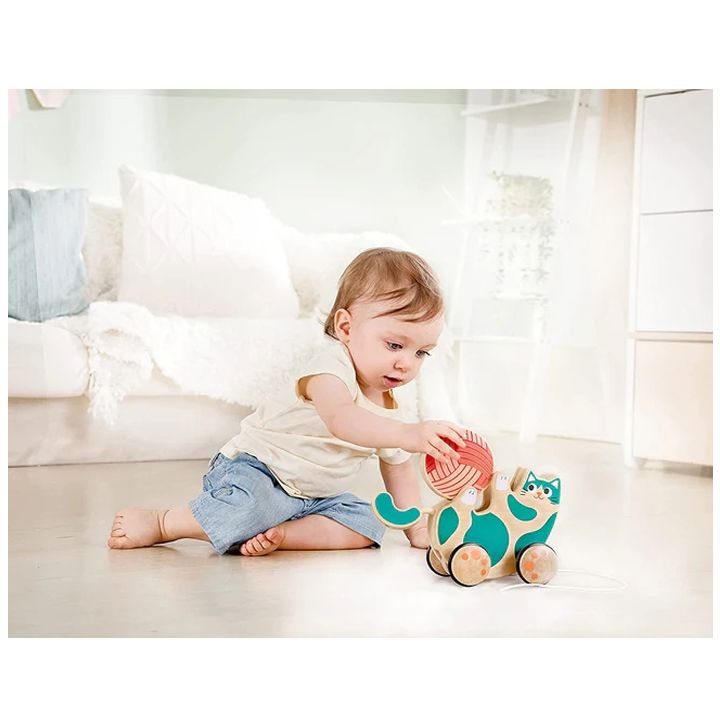 roll-rattle-kitten-satamasho-knuti-photo-2