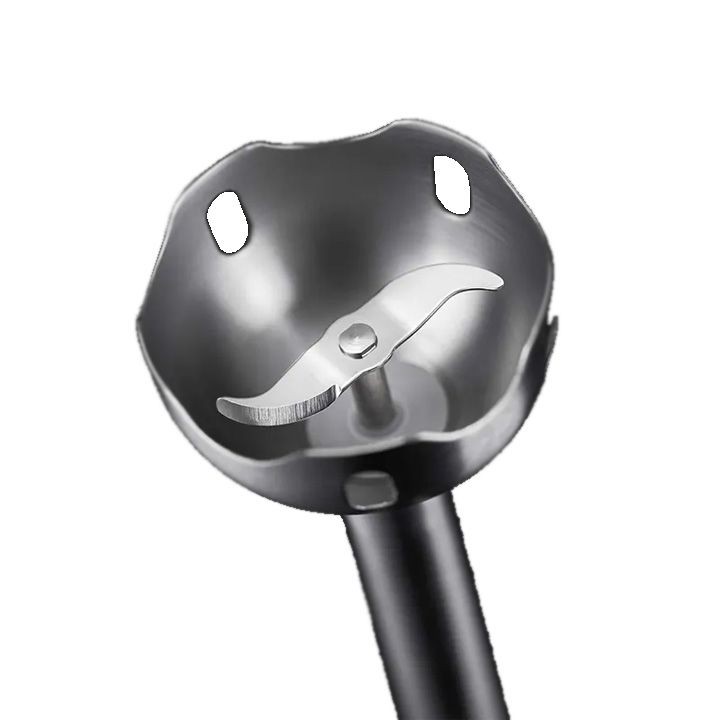 russell-hobbs-24690-56rh-khelis-blenderi-photo-2