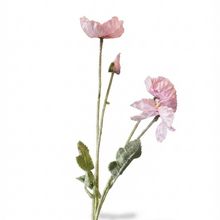 Product image of Eterna - ხელოვნური ყვავილი