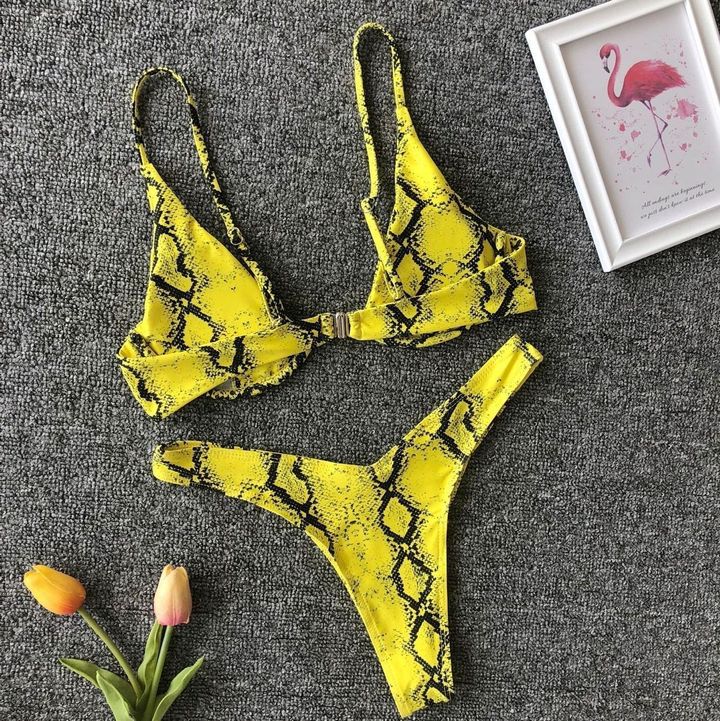 yellow-anaconda-photo-2