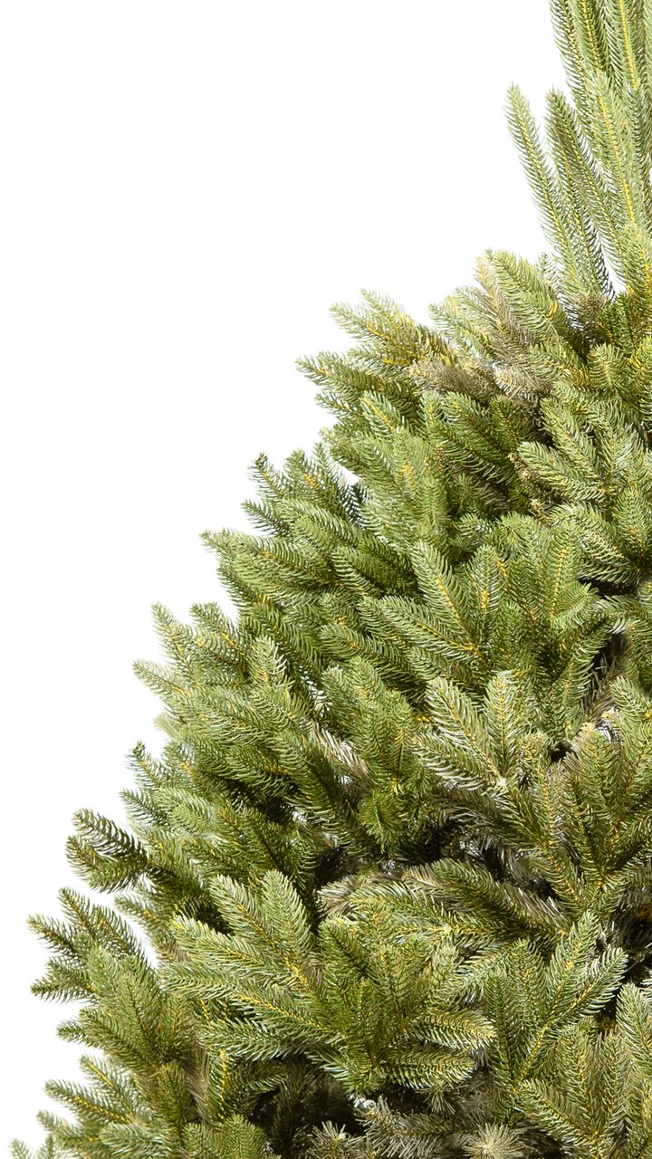 aqate-180sm---dizaineruli-nadzvis-khe-shako-da-ninosgan-photo-3