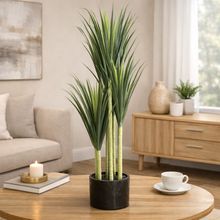 Product image of დეკორატიული ხელოვნური პალმის ტიპის მცენარე B-160 ქოთანში 160 სმ