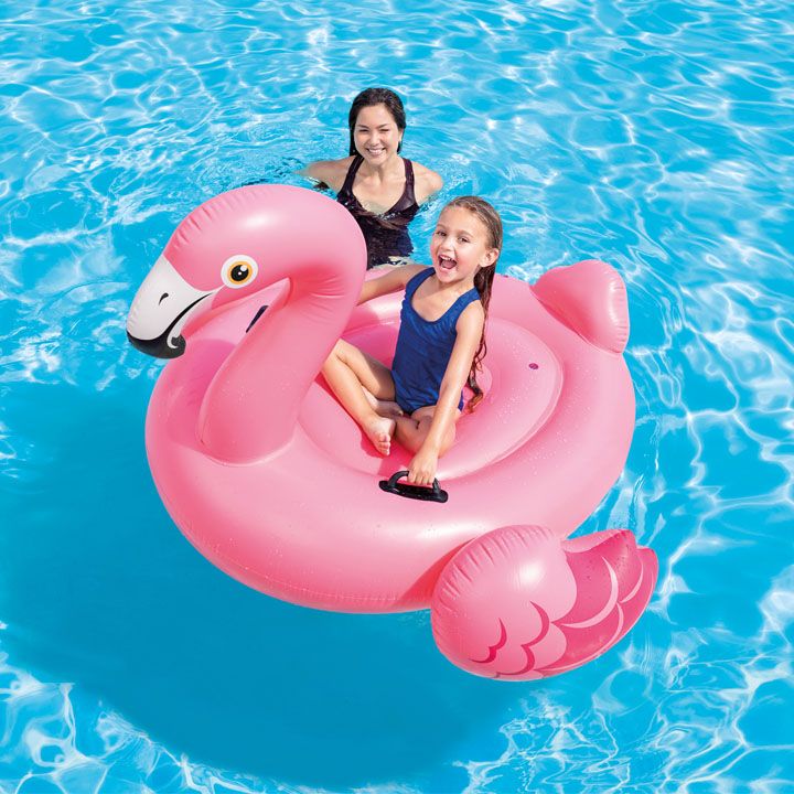 intex-tropical-flamingo-gasaberi-kamera-flamingo-photo-2