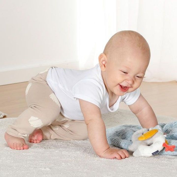 fehn-baby-soft-ring-rattle-elephant-rbili-sensoruli-satamasho-photo-4