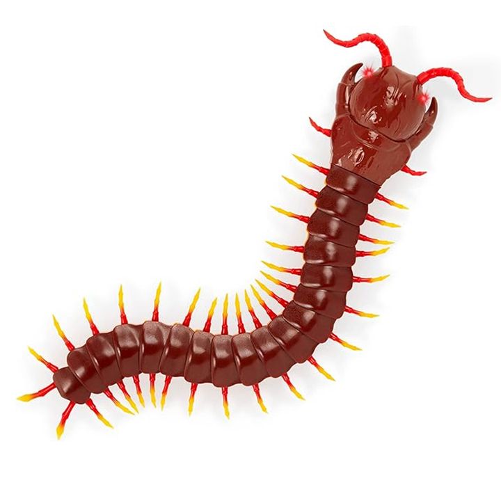 distantsiurad-samartavi-satamasho-mravalfekha-terra-an2867z-centipede-brown-photo-3