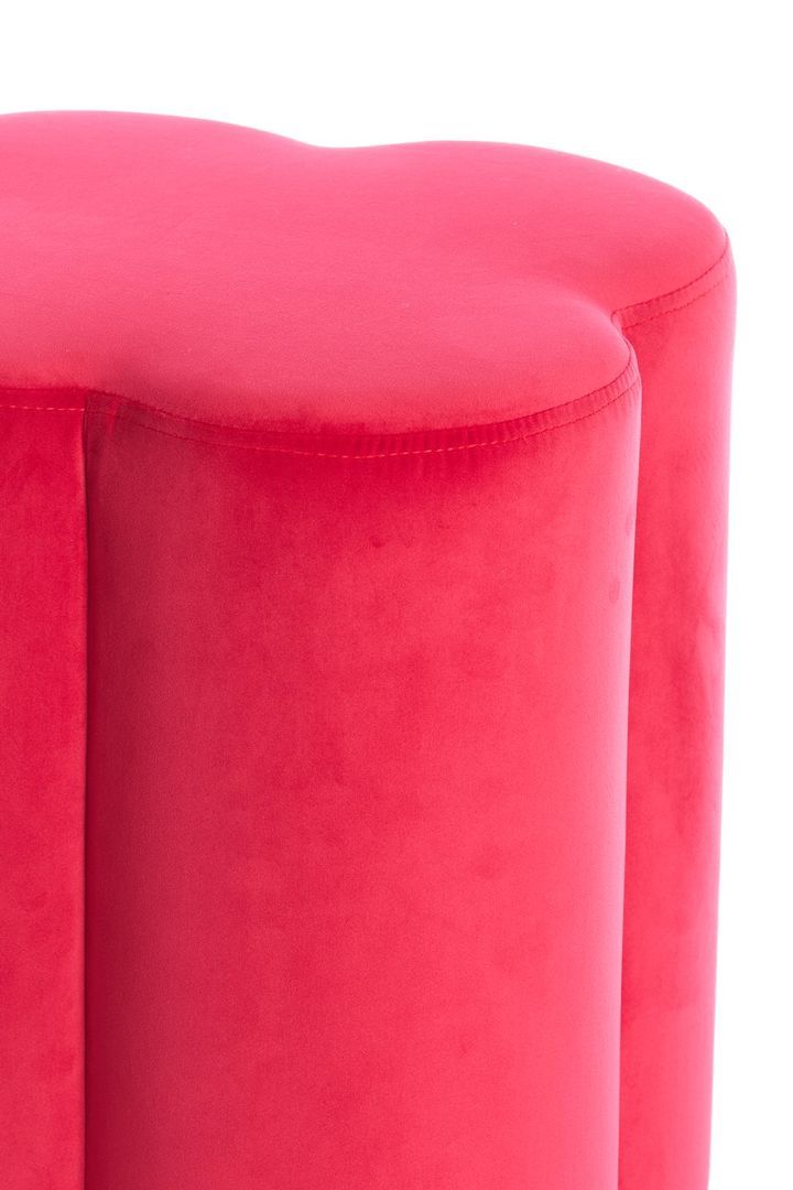 laboratory-my-home-pufi-photo-3