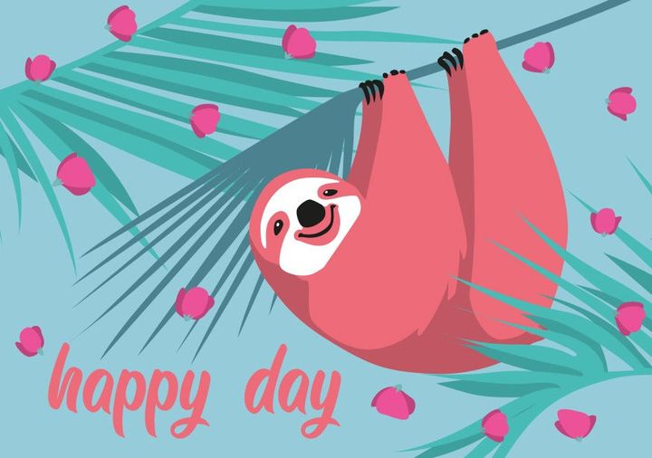 misalotsi-barati-happy-day-zarmatsas-gamosakhulebit