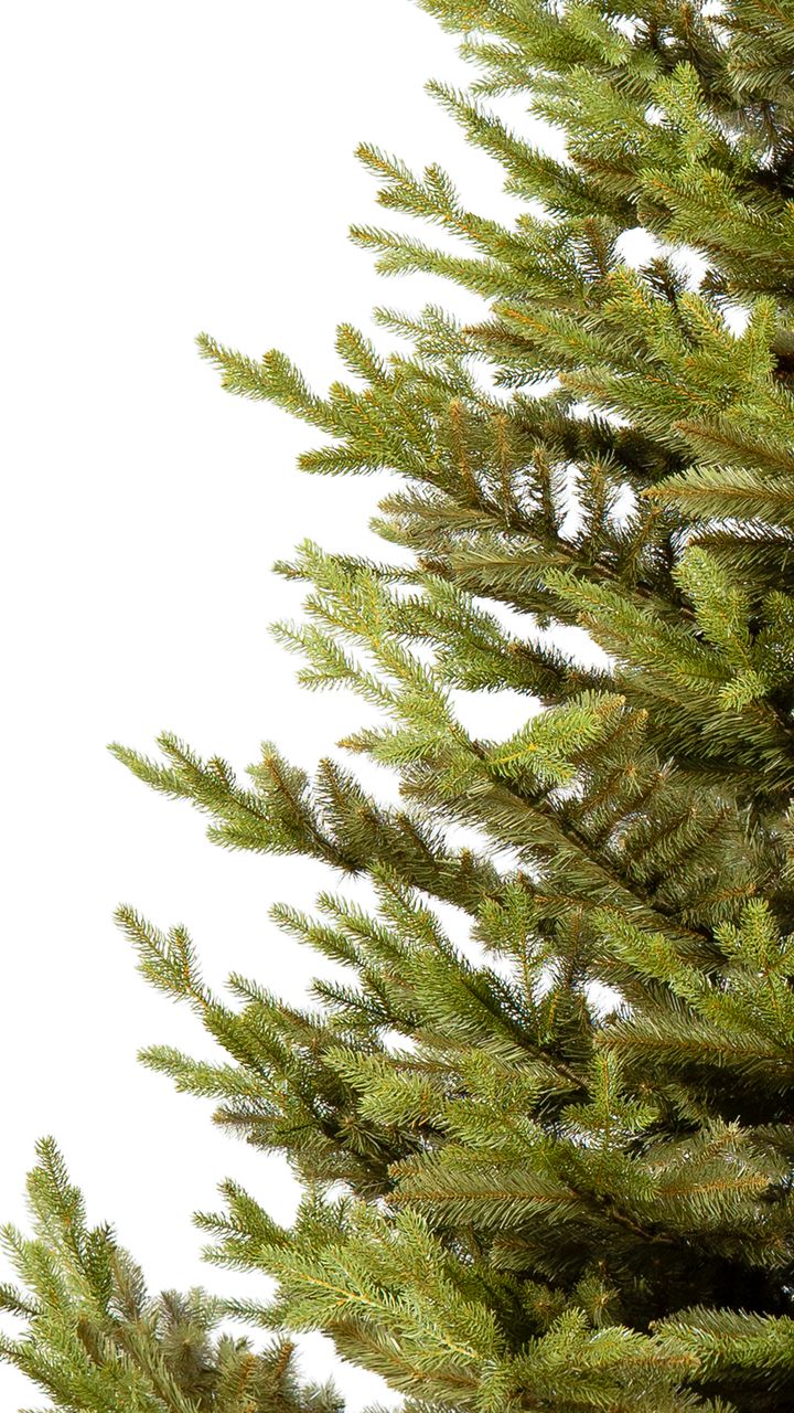 malali-250sm---dizaineruli-nadzvis-khe-shako-da-ninosgan-photo-3