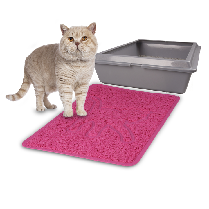 flamingo-katis-tualetis-khalicha-photo-4