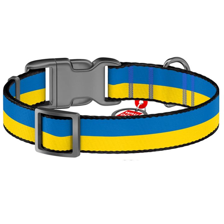 collar-dzaghlis-saqelo-photo-2