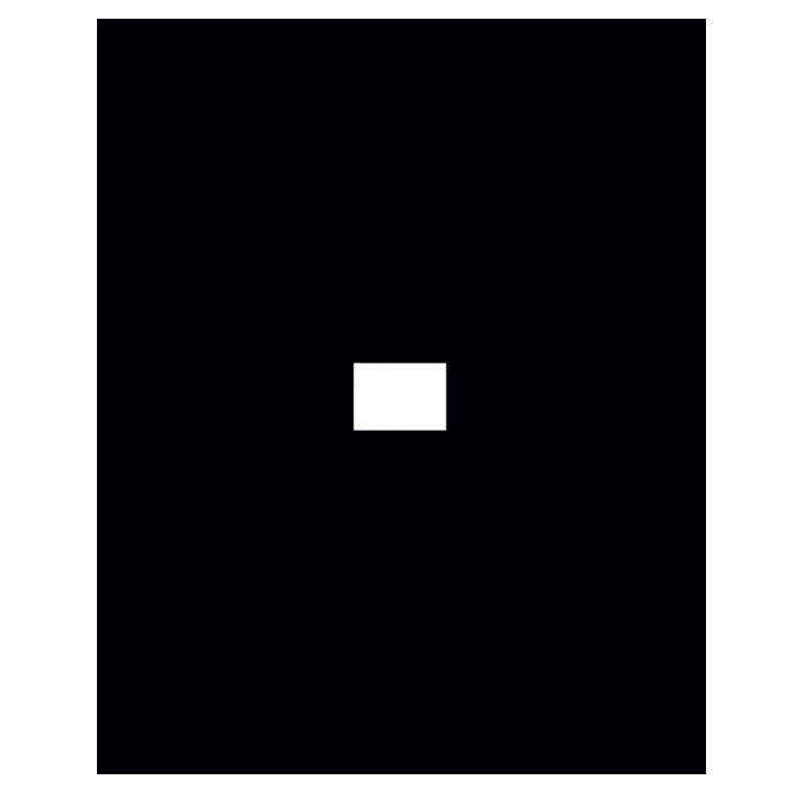 giorgi-mrevlishvili---eseebis-krebuli-protsesi