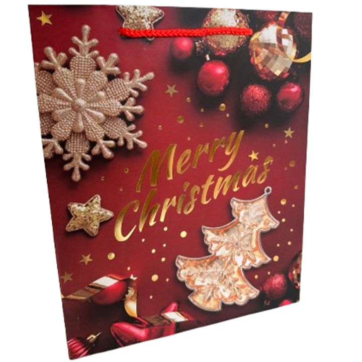 saakhaltslo-sasachuqre-chanta-merry-christmas-photo-2