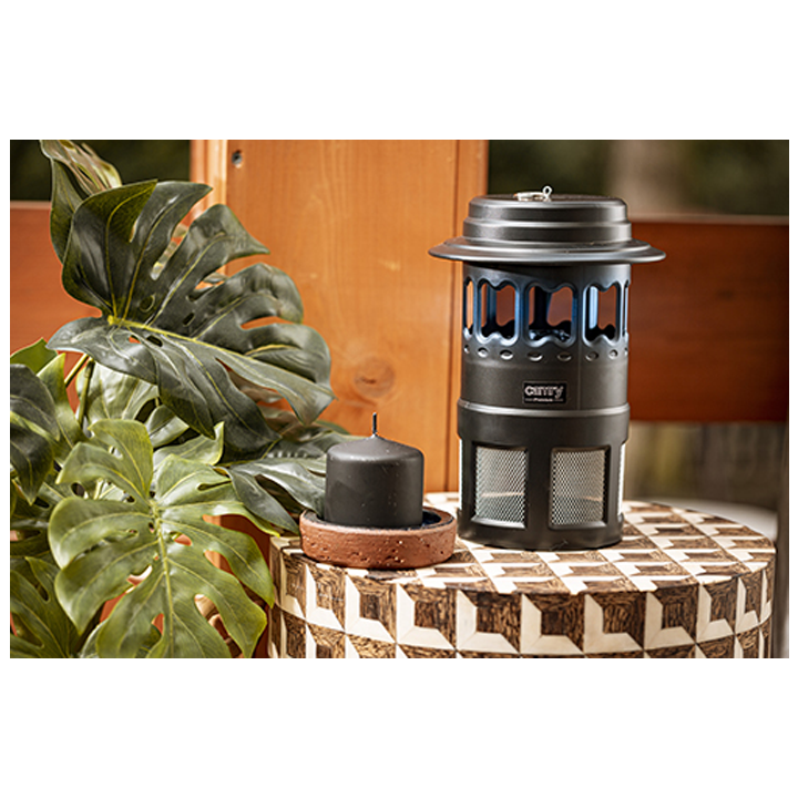 mtserebis-saklavi-photo-4