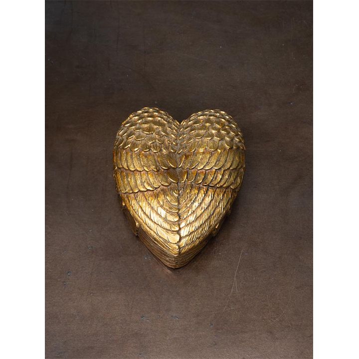 chehoma-gulis-formis-zardakhsha