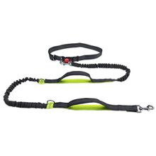 Product image of Professional Reflective Bungee Hands-Free Dog Leash ძაღლის საბელი